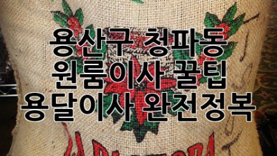 용산구 청파동 원룸이사 꿀팁🍯 용달이사 완전정복!