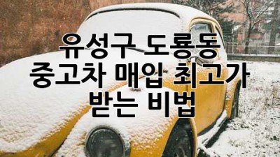 🚗 유성구 도룡동 중고차 매입, 최고가 받는 비법?! 🤫