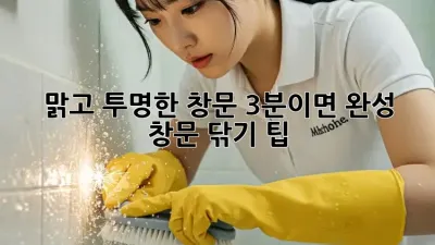 맑고 투명한 창문, 3분이면 완성! ✨ 창문 닦기 팁
